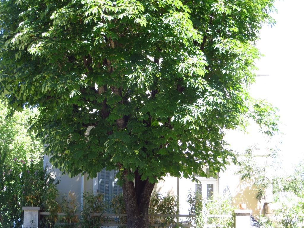 Maison Jean Chapelle Avignon Ngoại thất bức ảnh